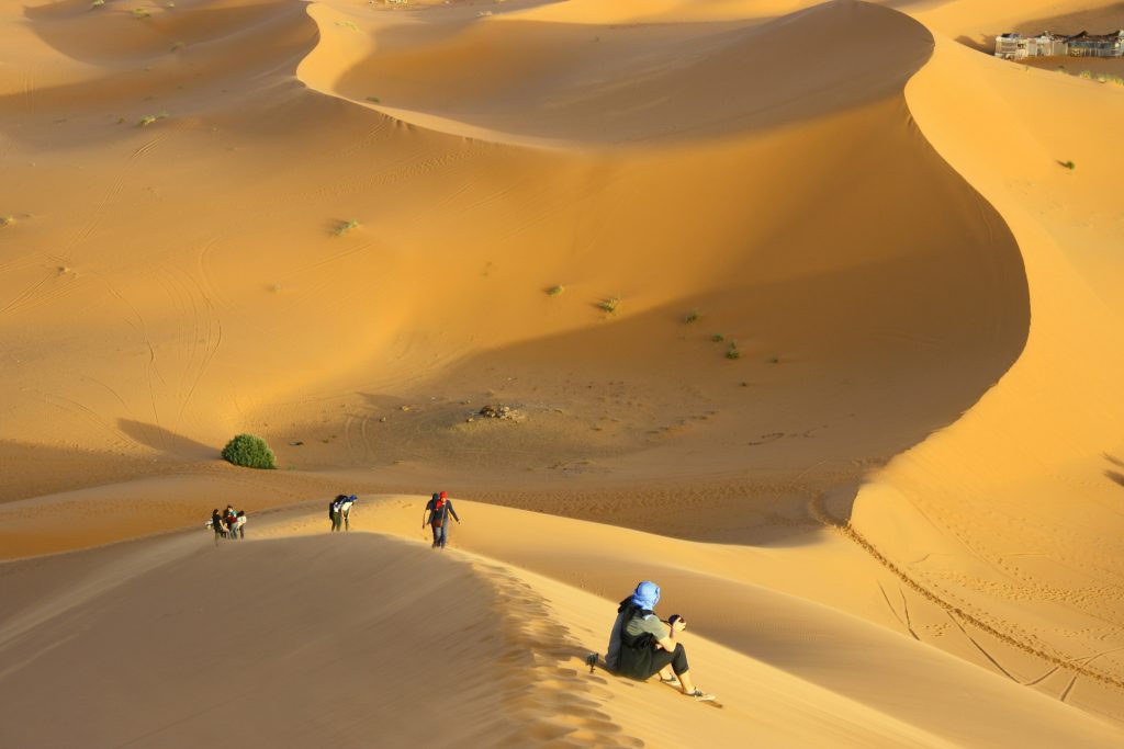 DUNES AND OASIS OF DRAA 3