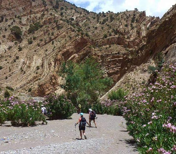 trekking in the rose valley