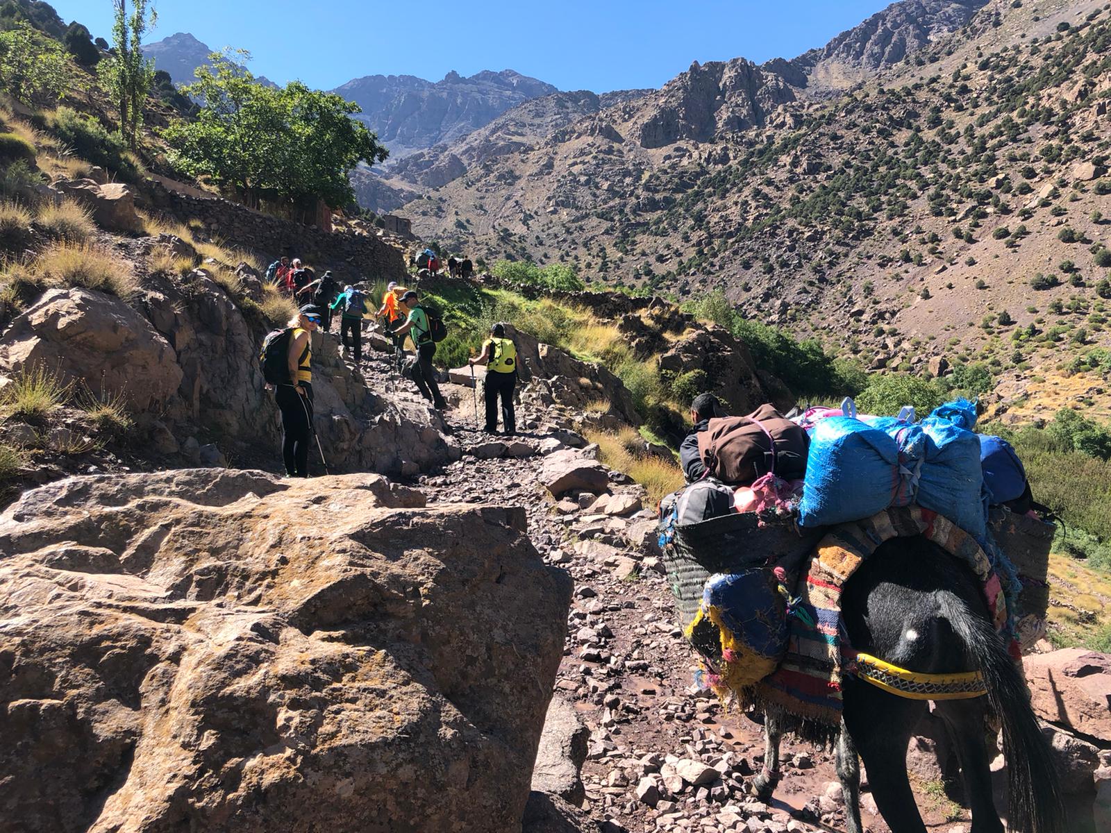 toubkal summit trekking