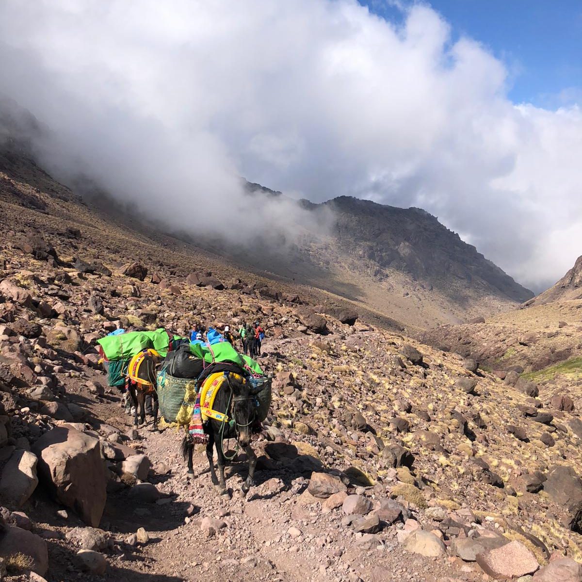 toubkal summit trekking