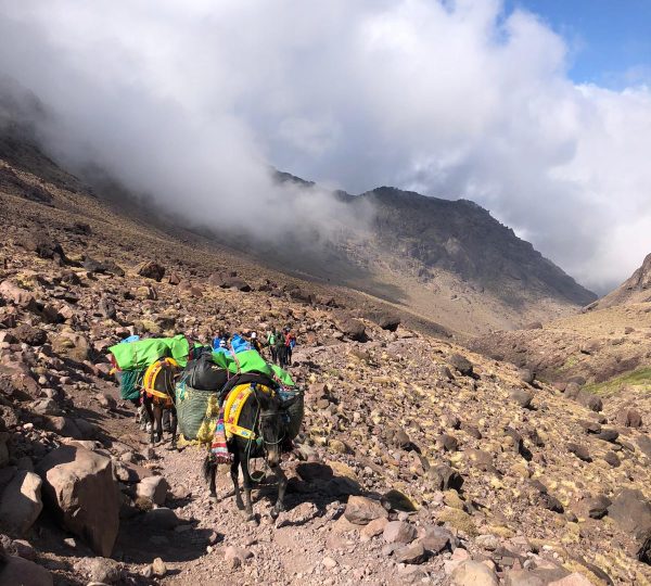 toubkal summit trekking