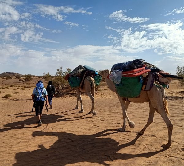 trekking in Sahara