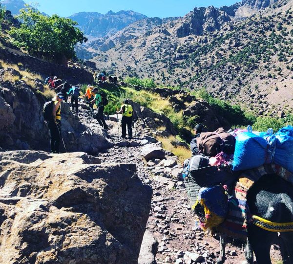 toubkal summit trekking