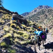 toubkal summit trekking