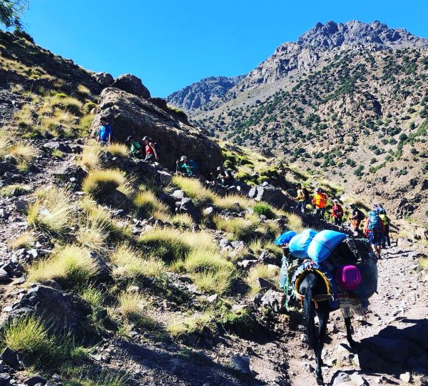 toubkal summit trekking