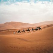 camel ride in Merzouga