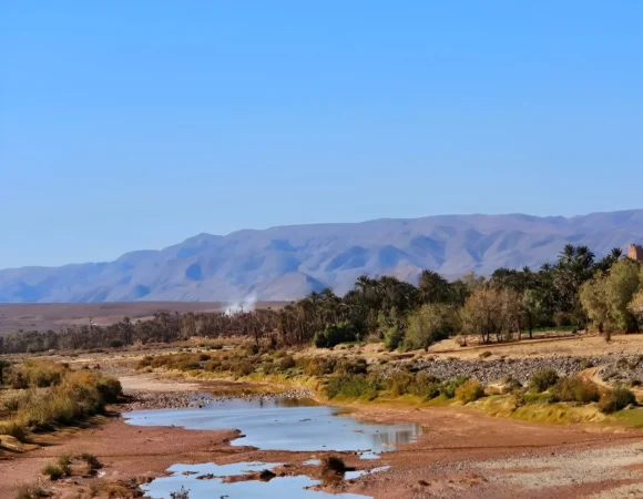 8 DAYS TREKKING IN SAHARA