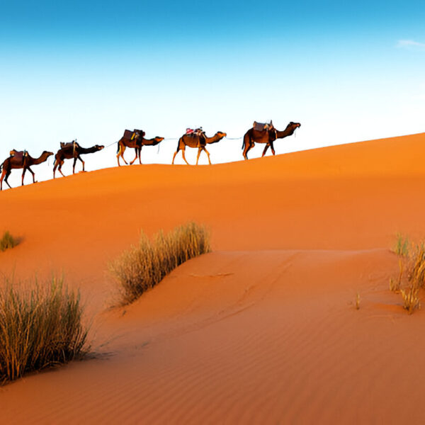 5 Days Tour to Merzouga from Marrakech