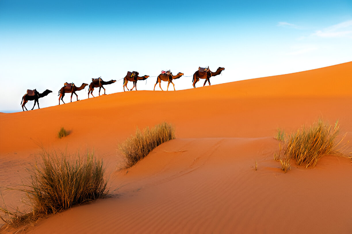 5 Days Tour to Merzouga from Marrakech